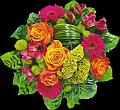 fleurs et nature (89)